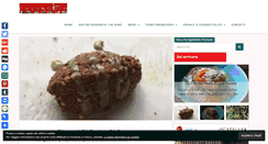 Desktop Screenshot of cucino-io.com